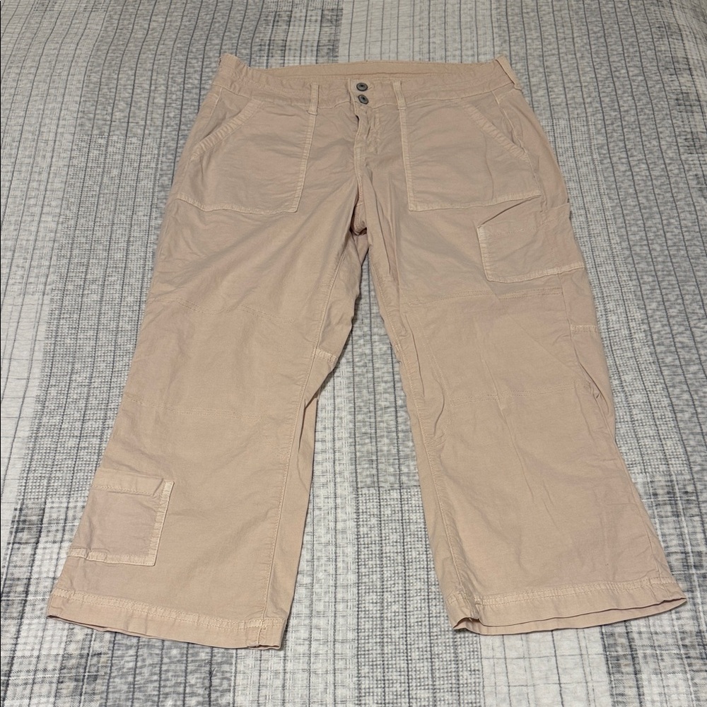 American Eagle outfitters size 10 regular low-rise kick crop stretch cargo pants